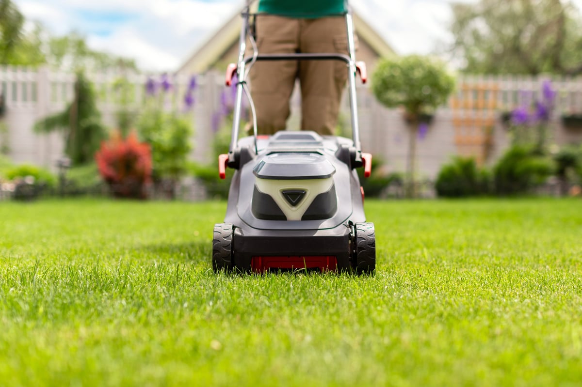 AM Lawn Busters website